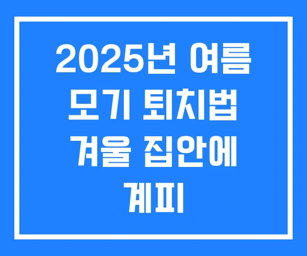 2025년 여름 모기 퇴치법 겨울 집안에 계피