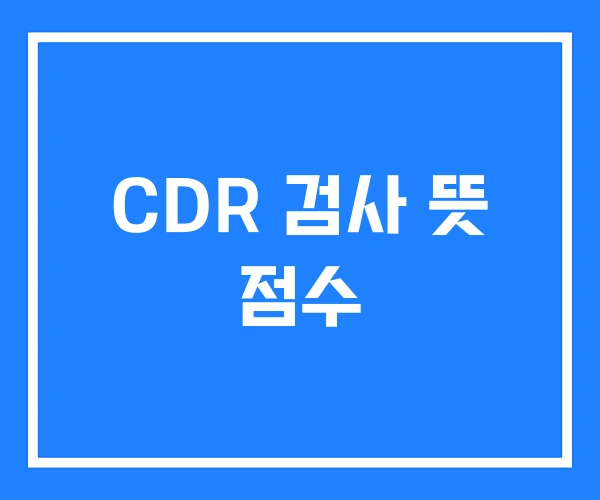 CDR 검사 뜻 점수