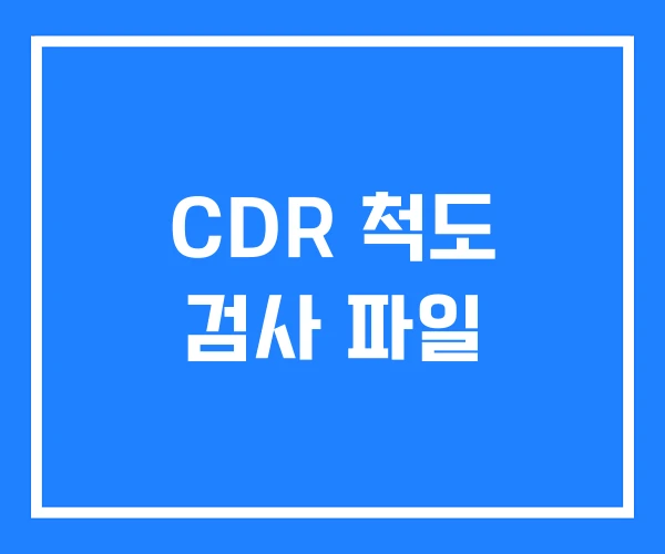 CDR 척도 검사 파일