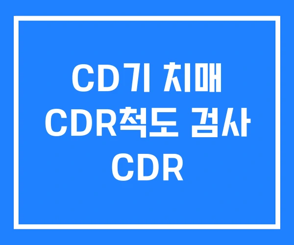 CD기 치매 CDR척도 검사 CDR CD기 치매 CDR척도 검사 CDR