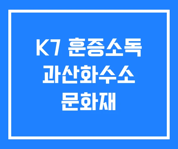 K7 훈증소독 과산화수소 문화재