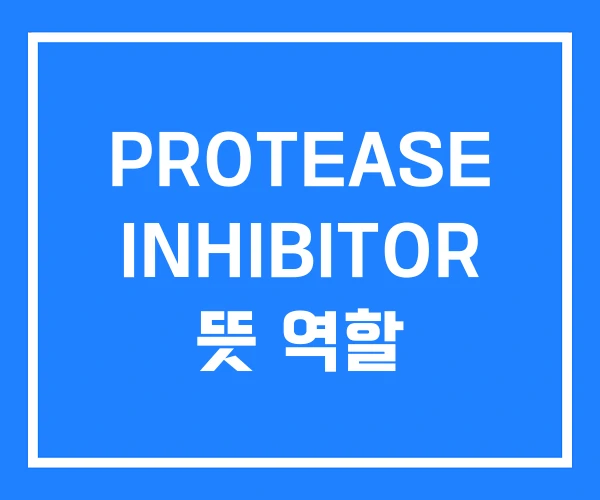 PROTEASE INHIBITOR 뜻 역할 PROTEASE INHIBITOR 뜻 역할