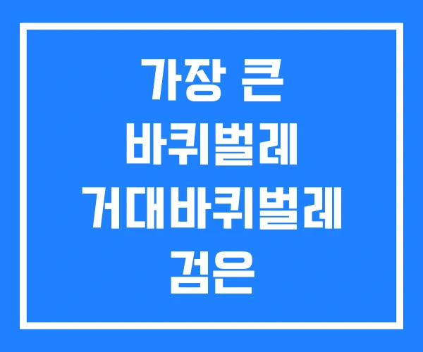 가장 큰 바퀴벌레 거대바퀴벌레 검은