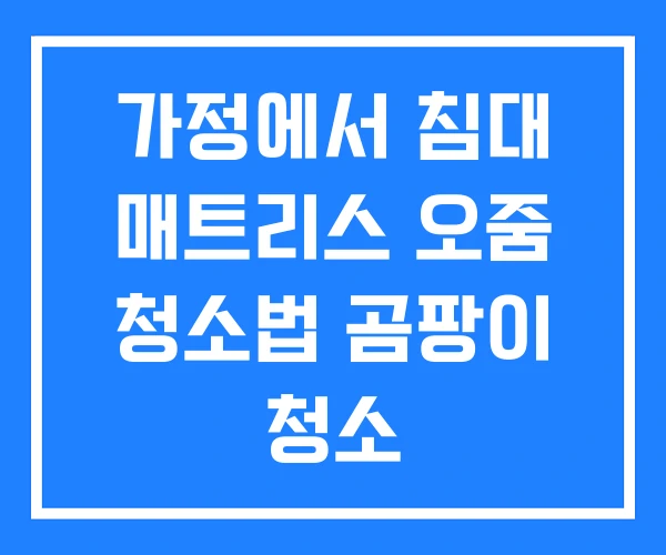 가정에서 침대 매트리스 오줌 청소법 곰팡이 청소