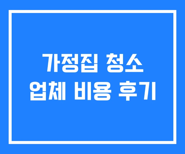 가정집 청소 업체 비용 후기 가정집 청소 업체 비용 후기
