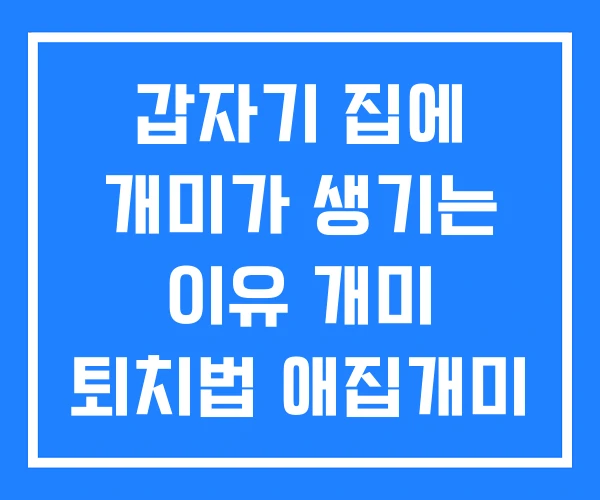 갑자기 집에 개미가 생기는 이유 개미 퇴치법 애집개미