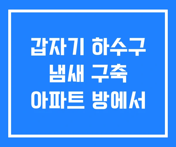 갑자기 하수구 냄새 구축 아파트 방에서 갑자기 하수구 냄새 구축 아파트 방에서