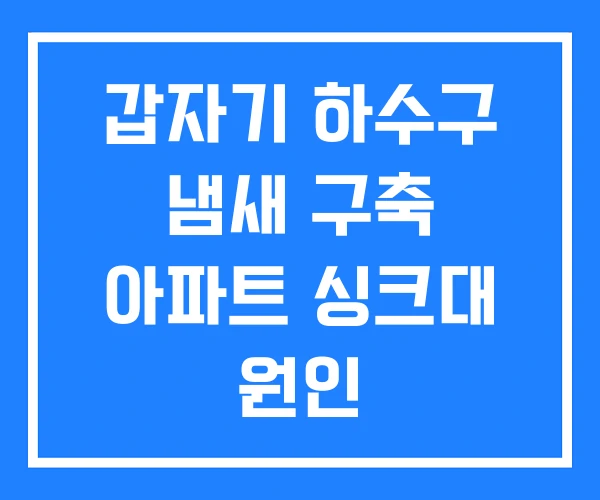 갑자기 하수구 냄새 구축 아파트 싱크대 원인