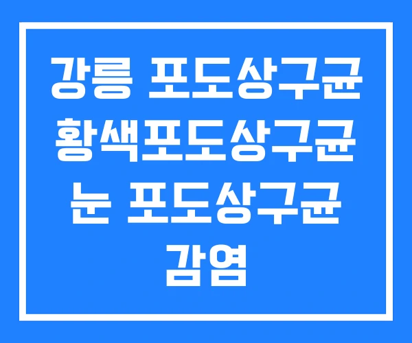 강릉 포도상구균 황색포도상구균 눈 포도상구균 감염