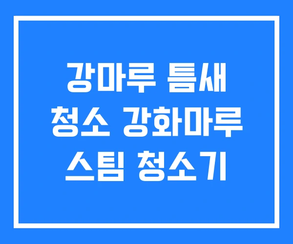 강마루 틈새 청소 강화마루 스팀 청소기 강마루 틈새 청소 강화마루 스팀 청소기