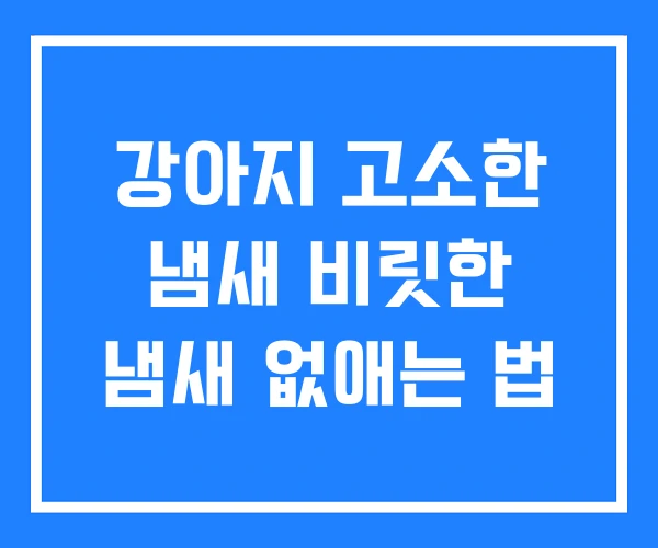 강아지 고소한 냄새 비릿한 냄새 없애는 법 강아지 고소한 냄새 비릿한 냄새 없애는 법