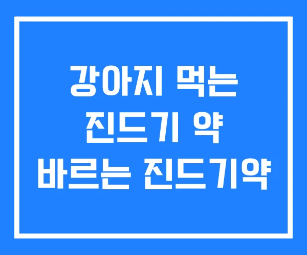 강아지 먹는 진드기 약 바르는 진드기약 강아지 먹는 진드기 약 바르는 진드기약
