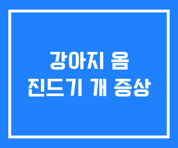 강아지 옴 진드기 개 증상 강아지 옴 진드기 개 증상