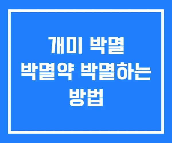 개미 박멸 박멸약 박멸하는 방법