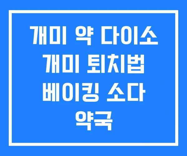 개미 약 다이소 개미 퇴치법 베이킹 소다 약국