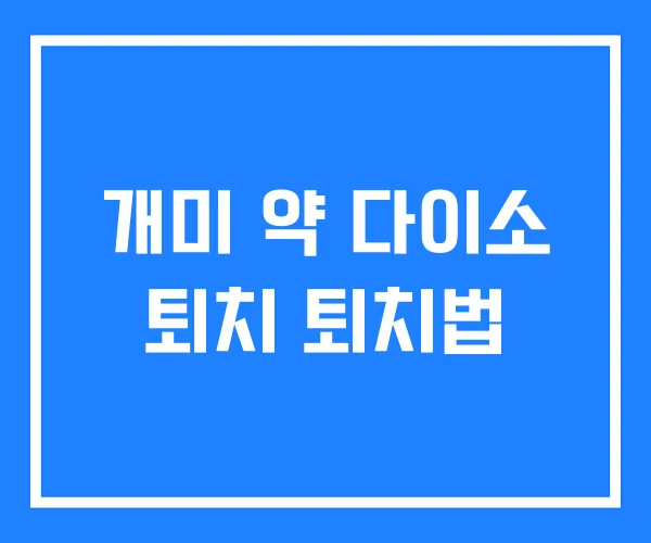 개미 약 다이소 퇴치 퇴치법 개미 약 다이소 퇴치 퇴치법