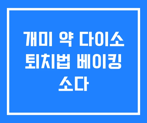개미 약 다이소 퇴치법 베이킹 소다