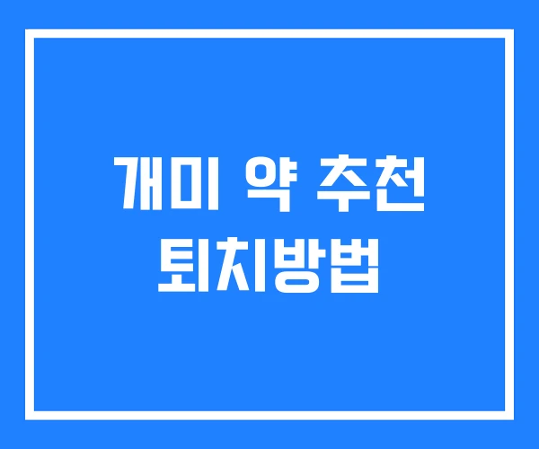 개미 약 추천 퇴치방법