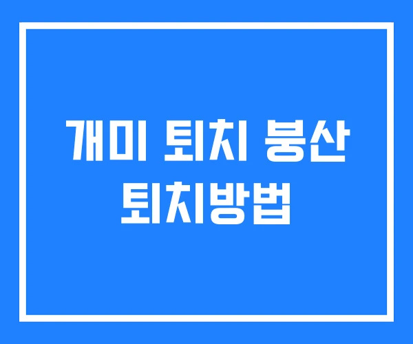 개미 퇴치 붕산 퇴치방법