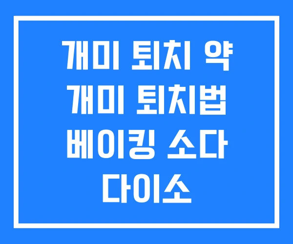 개미 퇴치 약 개미 퇴치법 베이킹 소다 다이소