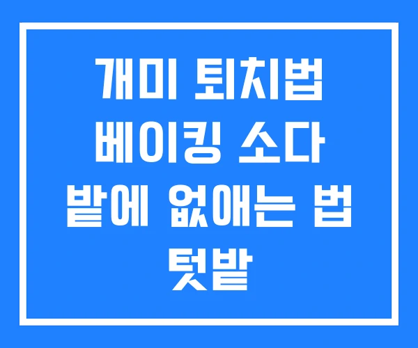 개미 퇴치법 베이킹 소다 밭에 없애는 법 텃밭 개미 퇴치법 베이킹 소다 밭에 없애는 법 텃밭