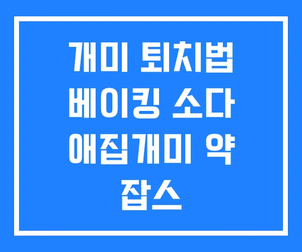 개미 퇴치법 베이킹 소다 애집개미 약 잡스