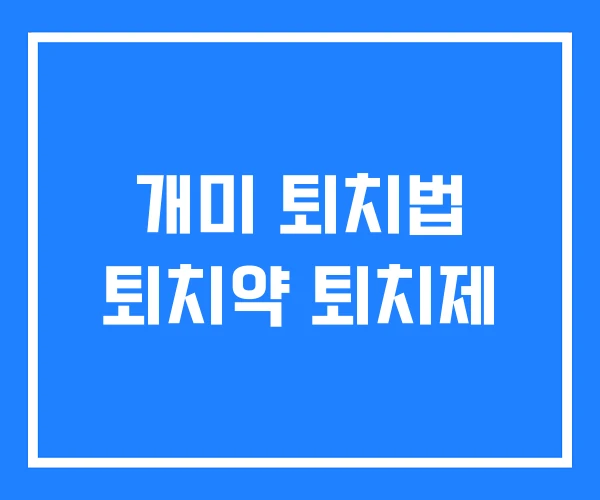 개미 퇴치법 퇴치약 퇴치제 개미 퇴치법 퇴치약 퇴치제