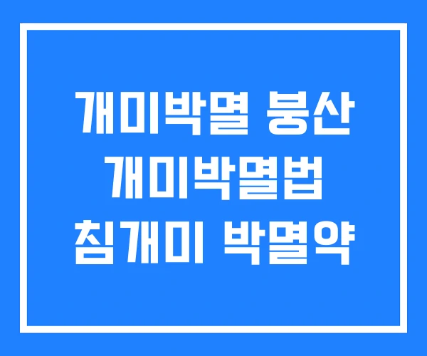 개미박멸 붕산 개미박멸법 침개미 박멸약