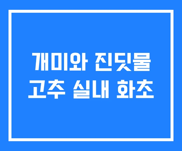 개미와 진딧물 고추 실내 화초