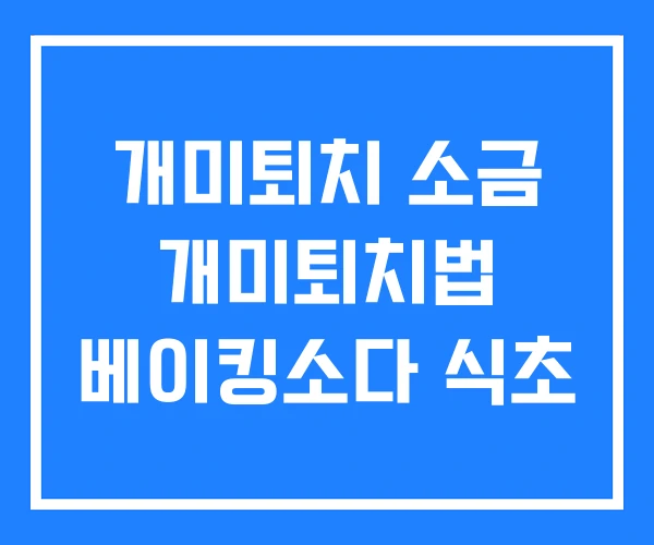 개미퇴치 소금 개미퇴치법 베이킹소다 식초 개미퇴치 소금 개미퇴치법 베이킹소다 식초