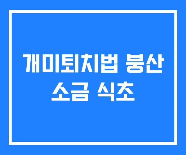 개미퇴치법 붕산 소금 식초