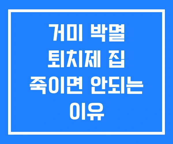 거미 박멸 퇴치제 집 죽이면 안되는 이유
