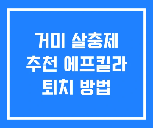 거미 살충제 추천 에프킬라 퇴치 방법