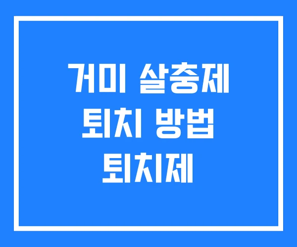 거미 살충제 퇴치 방법 퇴치제 거미 살충제 퇴치 방법 퇴치제
