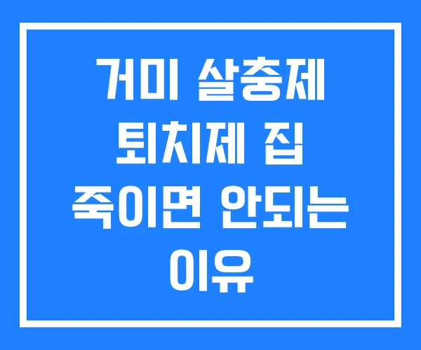 거미 살충제 퇴치제 집 죽이면 안되는 이유 거미 살충제 퇴치제 집 죽이면 안되는 이유