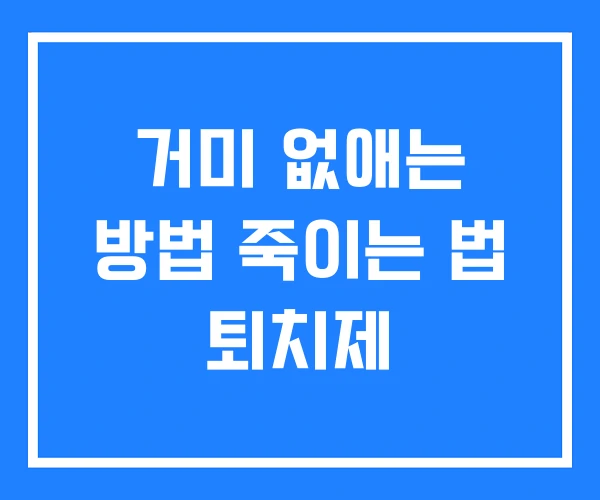 거미 없애는 방법 죽이는 법 퇴치제 거미 없애는 방법 죽이는 법 퇴치제