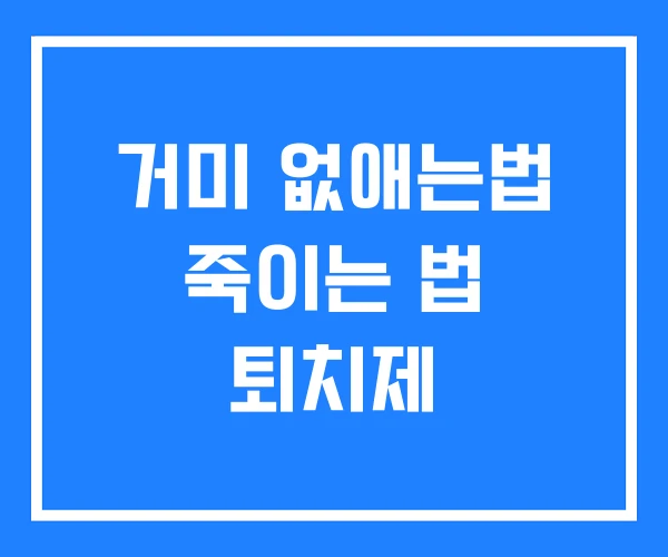 거미 없애는법 죽이는 법 퇴치제 거미 없애는법 죽이는 법 퇴치제