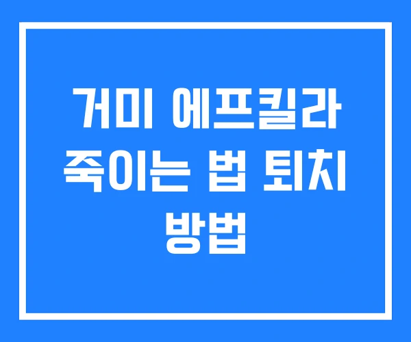 거미 에프킬라 죽이는 법 퇴치 방법 거미 에프킬라 죽이는 법 퇴치 방법