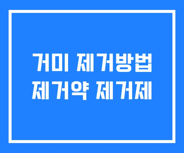 거미 제거방법 제거약 제거제 거미 제거방법 제거약 제거제