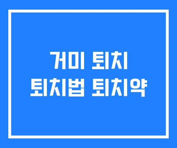 거미 퇴치 퇴치법 퇴치약