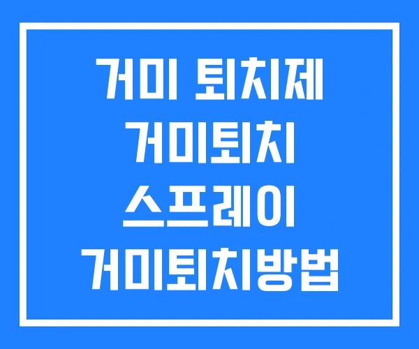거미 퇴치제 거미퇴치 스프레이 거미퇴치방법