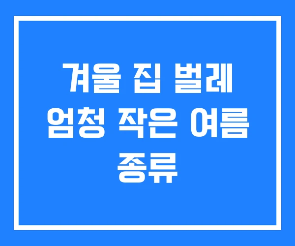 겨울 집 벌레 엄청 작은 여름 종류