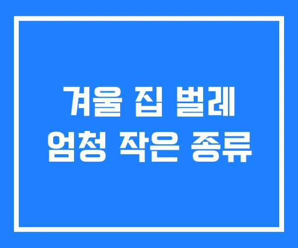 겨울 집 벌레 엄청 작은 종류 겨울 집 벌레 엄청 작은 종류