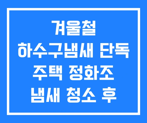 겨울철 하수구냄새 단독 주택 정화조 냄새 청소 후