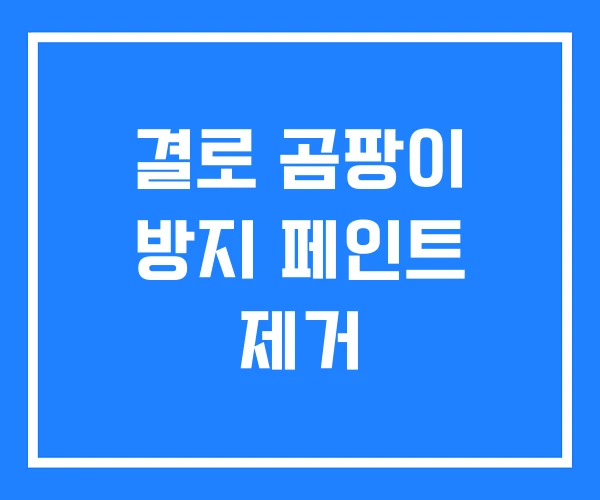 결로 곰팡이 방지 페인트 제거 결로 곰팡이 방지 페인트 제거