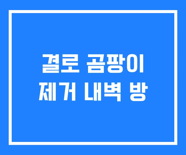 결로 곰팡이 제거 내벽 방 결로 곰팡이 제거 내벽 방