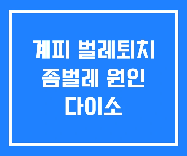 계피 벌레퇴치 좀벌레 원인 다이소