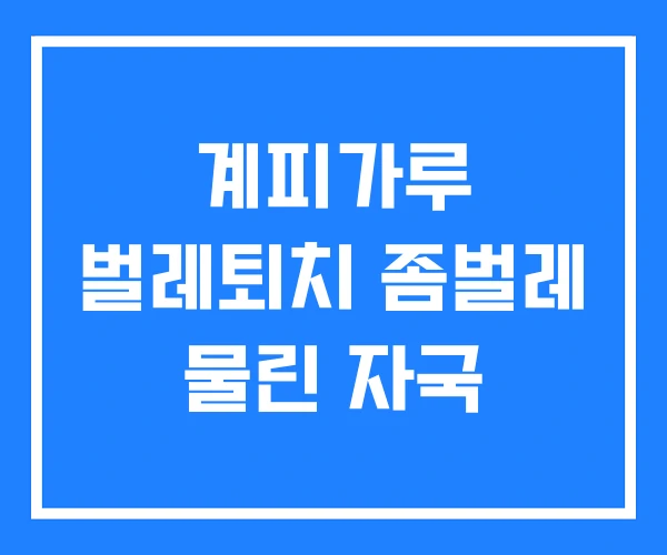 계피가루 벌레퇴치 좀벌레 물린 자국