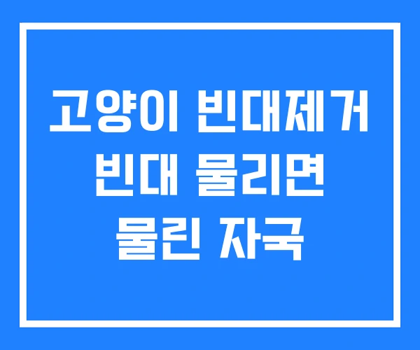 고양이 빈대제거 빈대 물리면 물린 자국