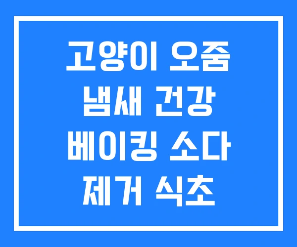 고양이 오줌 냄새 건강 베이킹 소다 제거 식초 고양이 오줌 냄새 건강 베이킹 소다 제거 식초
